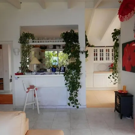 Bungalow Palmitita Daire *