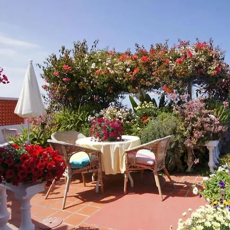Bungalow Palmitita דירה *
